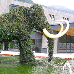 Mammut